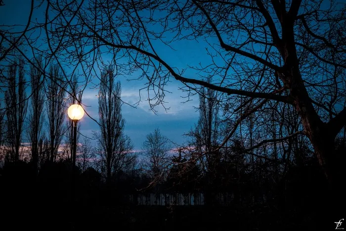 春天，傍晚，自然，景观，日落，地平线