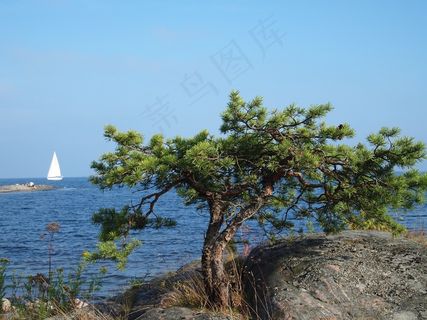帆，群岛，瑞典，船，预订，孤独