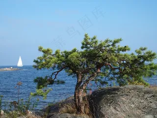 帆，群岛，瑞典，船，预订，孤独
