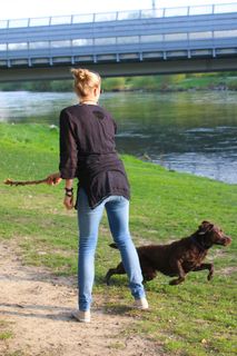 江，性质，人类，狗，地板，道路，检索，投掷