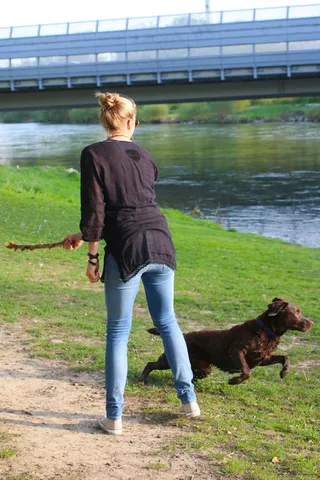 江，性质，人类，狗，地板，道路，检索，投掷