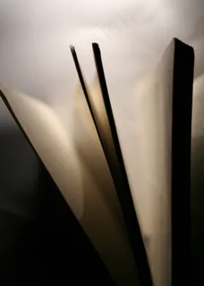 书，页面，文学，阅读，纸，书页