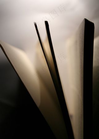 书，页面，文学，阅读，纸，书页