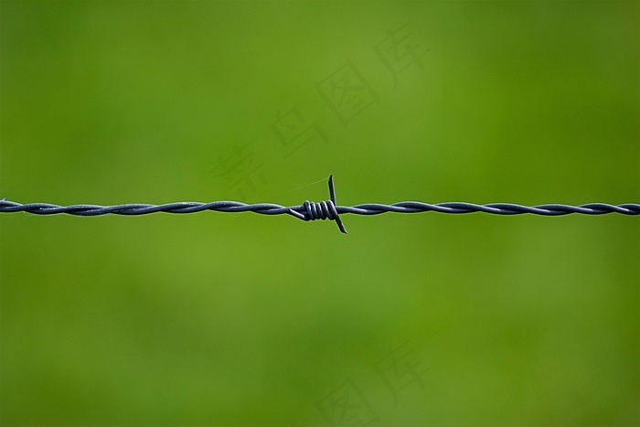 刺铁丝,电线,豆娘,杜松蜻蜓,地板砖,在绿色背景上的铁丝网