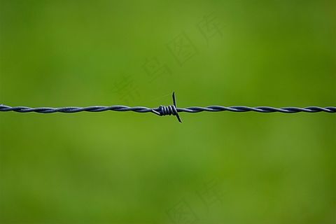 刺铁丝,电线,豆娘,杜松蜻蜓,地板砖,在绿色背景上的铁丝网