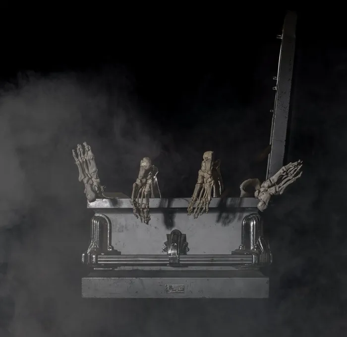 棺材，骨骼，脚，六，幽默