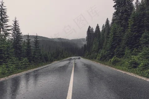 道路,湿,树木,公路,沥青,方向 道路,湿,树木,公路,沥青,方向