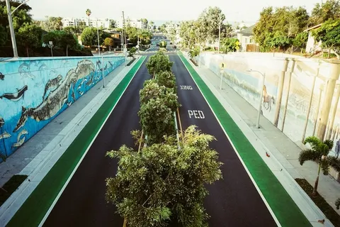 盆栽植物,花卉,树,市政道路,园林景观,路街树木胡同