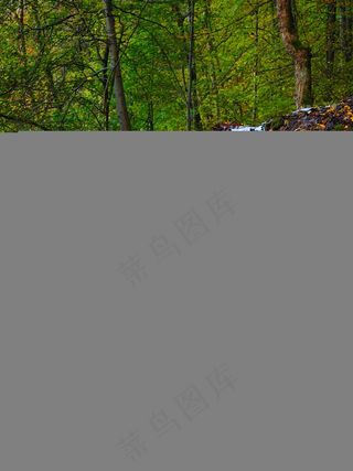 瀑布，水，货物斯坦纳瀑布