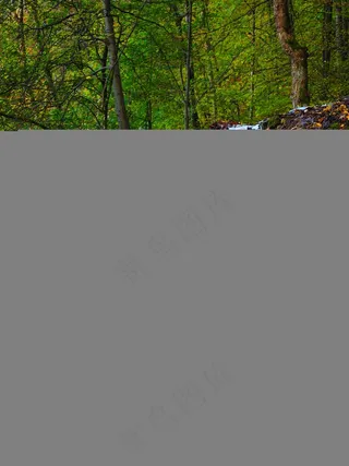 瀑布，水，货物斯坦纳瀑布