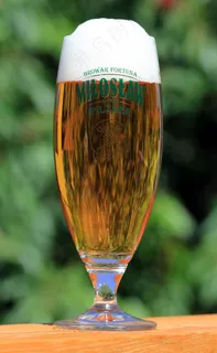 啤酒，薄饼，玻璃，服务，麦芽