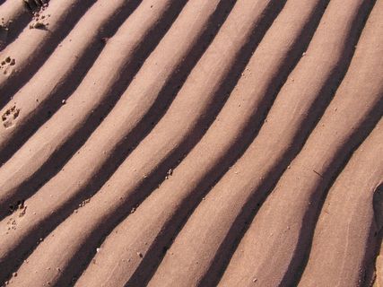 易北河海滩，波，沙，结构，春天，沙丘