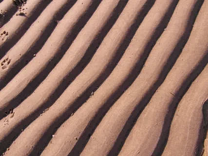 易北河海滩，波，沙，结构，春天，沙丘