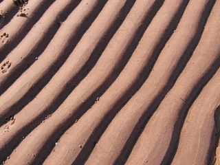 易北河海滩，波，沙，结构，春天，沙丘