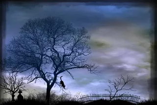 墓碑，公墓，树木，神秘，心情，景观