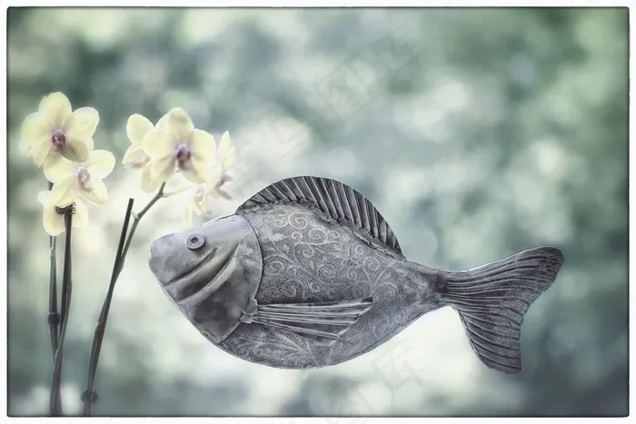 鱼，金属鱼，兰花，游泳，花，游泳者，潜水员