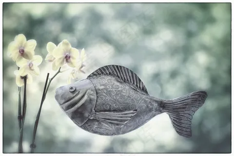 鱼,金属鱼,兰花,游泳,花,游泳者,潜水员 鱼,金属鱼,兰花,游泳,花,游泳者,潜水员