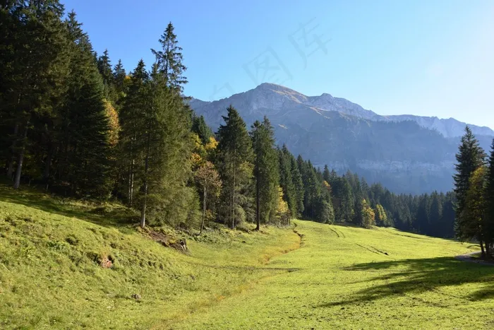 山，高山，Alm，高山草甸，徒步旅行，草地