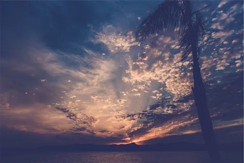 日落,黄昏,天空,夜,黑暗,云团,水,树 日落,黄昏,天空,夜,黑暗,云团,水,树