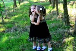 双胞胎，姐妹，爱情，女孩，蓝眼睛，美女