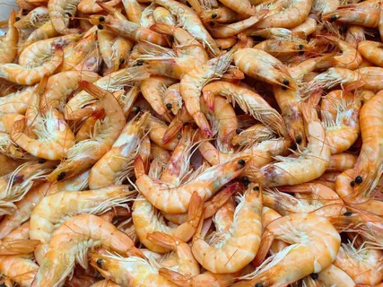 虾,甲壳动物,海,海鲜 虾,甲壳动物,海,海鲜