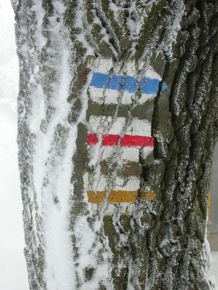 目录，冬天，雪，冰，冰