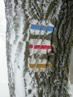 目录，冬天，雪，冰，冰