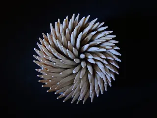 涡流，尖头，牙签，多刺