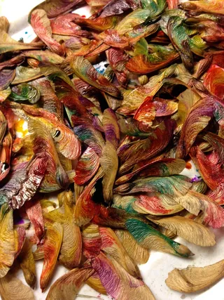 种子，艺术，艺术，自然，装饰，绘