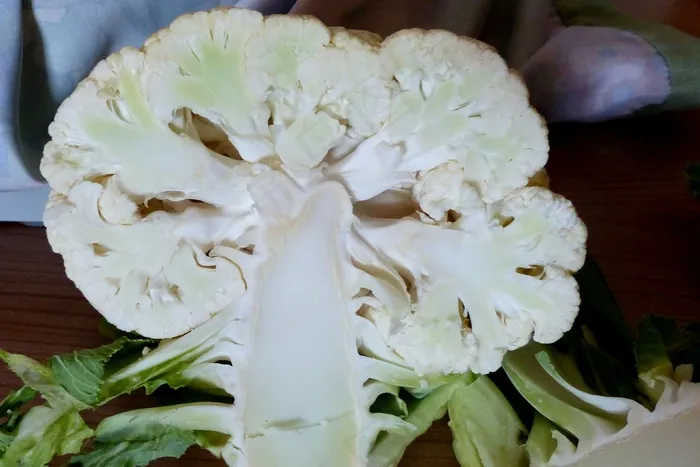 花椰菜，切成薄片，白菜品种，蔬菜