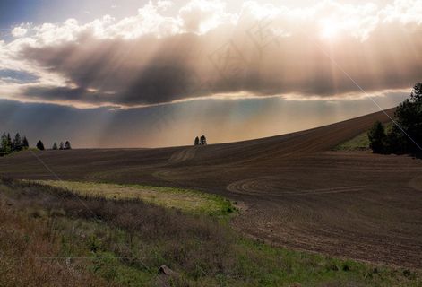 阳光，云，场，草，土壤，农村