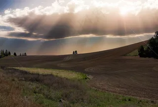 阳光，云，场，草，土壤，农村