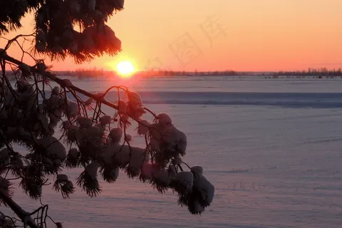大自然，日落，冬天，太阳