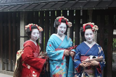 艺妓，女孩，和服，文化，女人，化妆