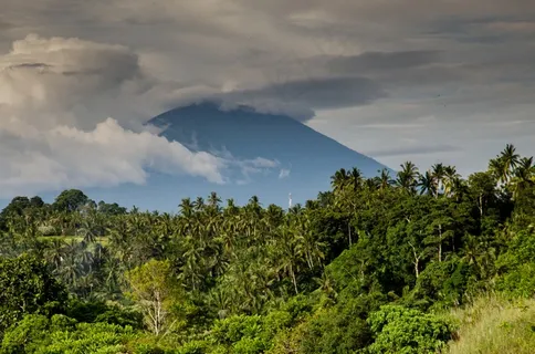 火山,哥斯达黎加,棕榈树,丛林,热带 火山,哥斯达黎加,棕榈树,丛林,热带