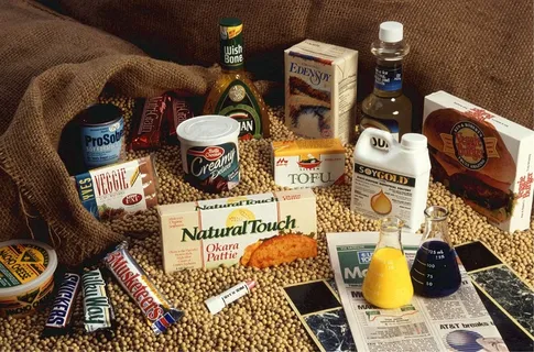 大豆,食品,用途,健康,豆类,绿色,大豆,豆腐 大豆,食品,用途,健康,豆类,绿色,大豆,豆腐