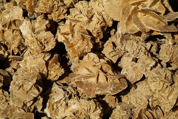 沙玫瑰，撒哈拉沙漠，沙漠，矿物