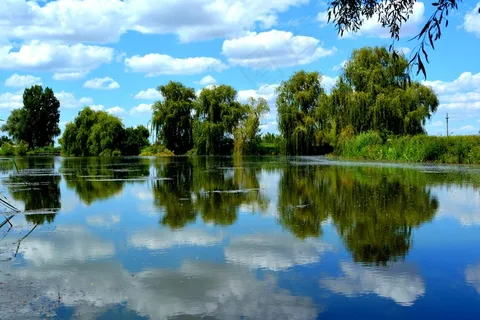 天空,水,云团,湖泊,反射,性质,植被 天空,水,云团,湖泊,反射,性质,植被
