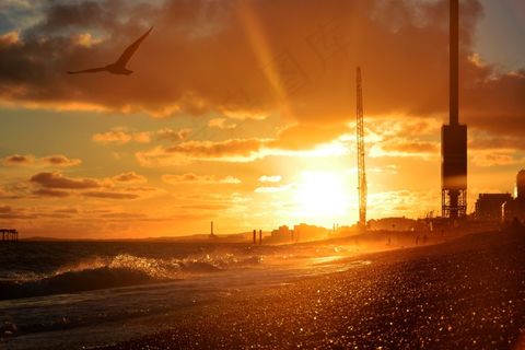 日落，海滩，波浪，鸟类，起重机，工业
