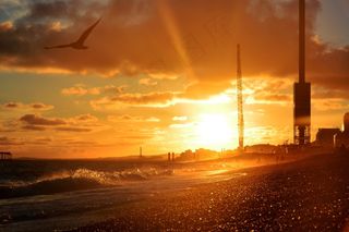 日落，海滩，波浪，鸟类，起重机，工业