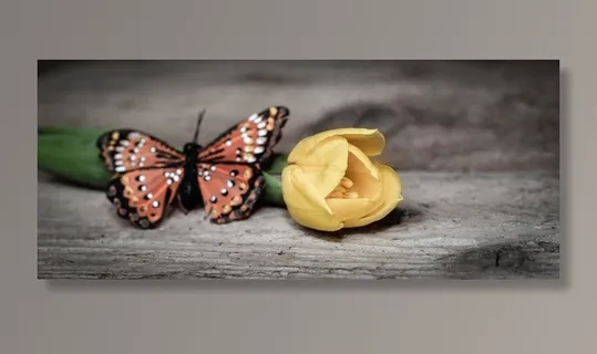 郁金香，花，Schnittblume，黄色，黄色花