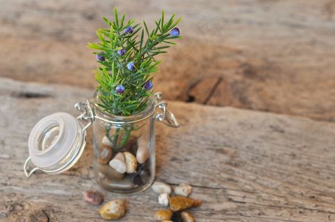 装饰，玻璃，罐子，石头，科，人造花