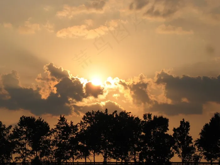 日落，Abendstimmung，树木，心情，太阳