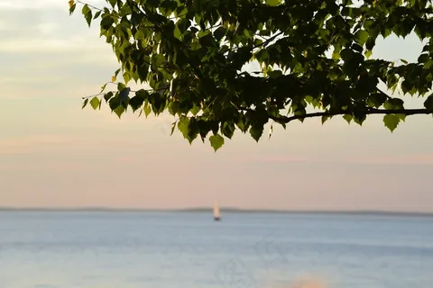 船,湖,夏天,仲夏,盛夏,坦佩雷 船,湖,夏天,仲夏,盛夏,坦佩雷