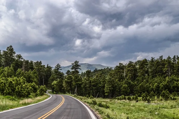 道路，公路，国家，草，树木，山，天空