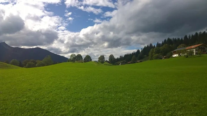 牧场，Alm，巴伐利亚，高山，高山草甸