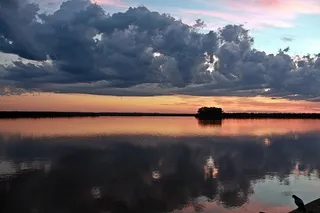 水，反射，鸟，池塘，日落，天空，云