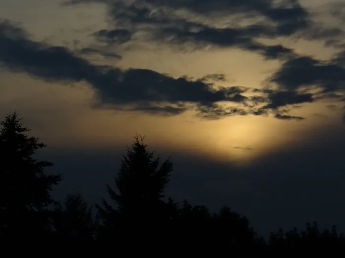 Abendstimmung，在森林里的夜晚，浪漫，梦想