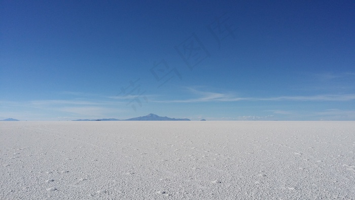 乳齿，玻利维亚，盐沙漠