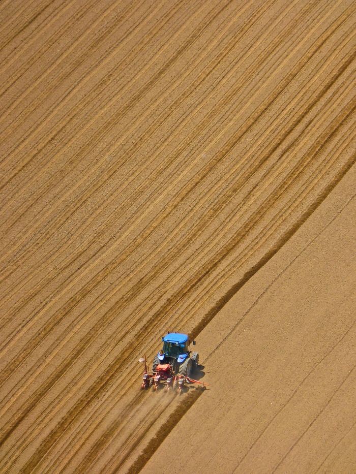 拖拉机，耕作，田野，农业，耕种